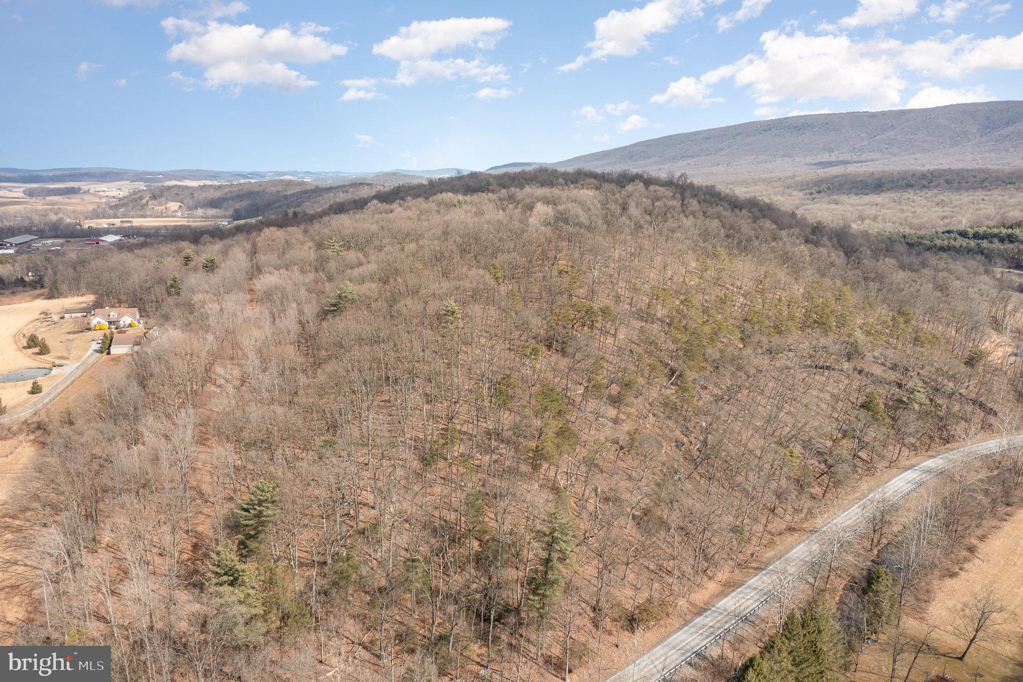 0 Back Hollow Road Blain, PA 17006 - Photo 7 of 24 Gallery Image 7