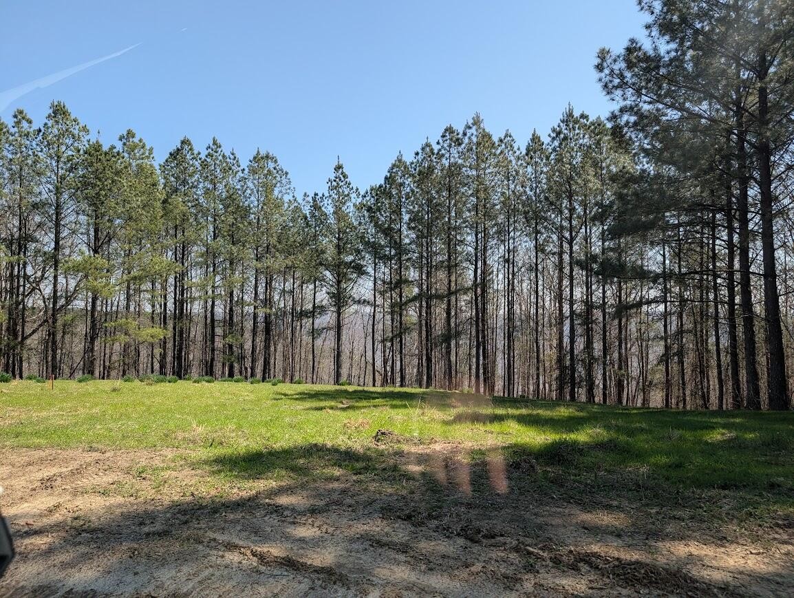 2241 Riverbend Road Guild, TN 37340 - Photo 3 of 7 Gallery Image 3