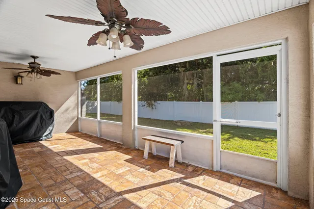 a view of a backyard with plants and a garden