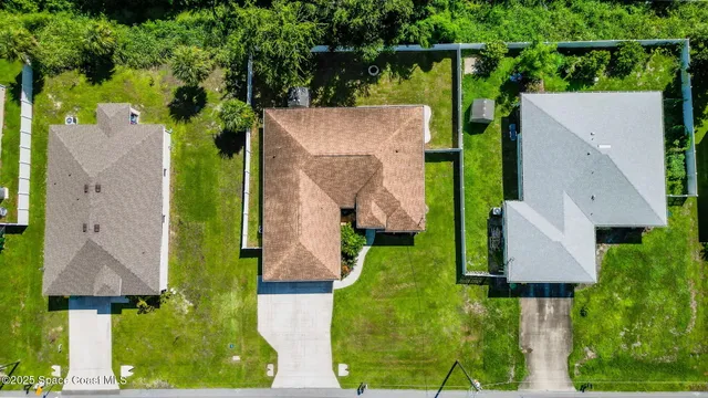 a view of a yard with plants