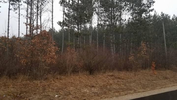 0 Monroe Road White Cloud, MI 49349 - Photo 9 of 11
