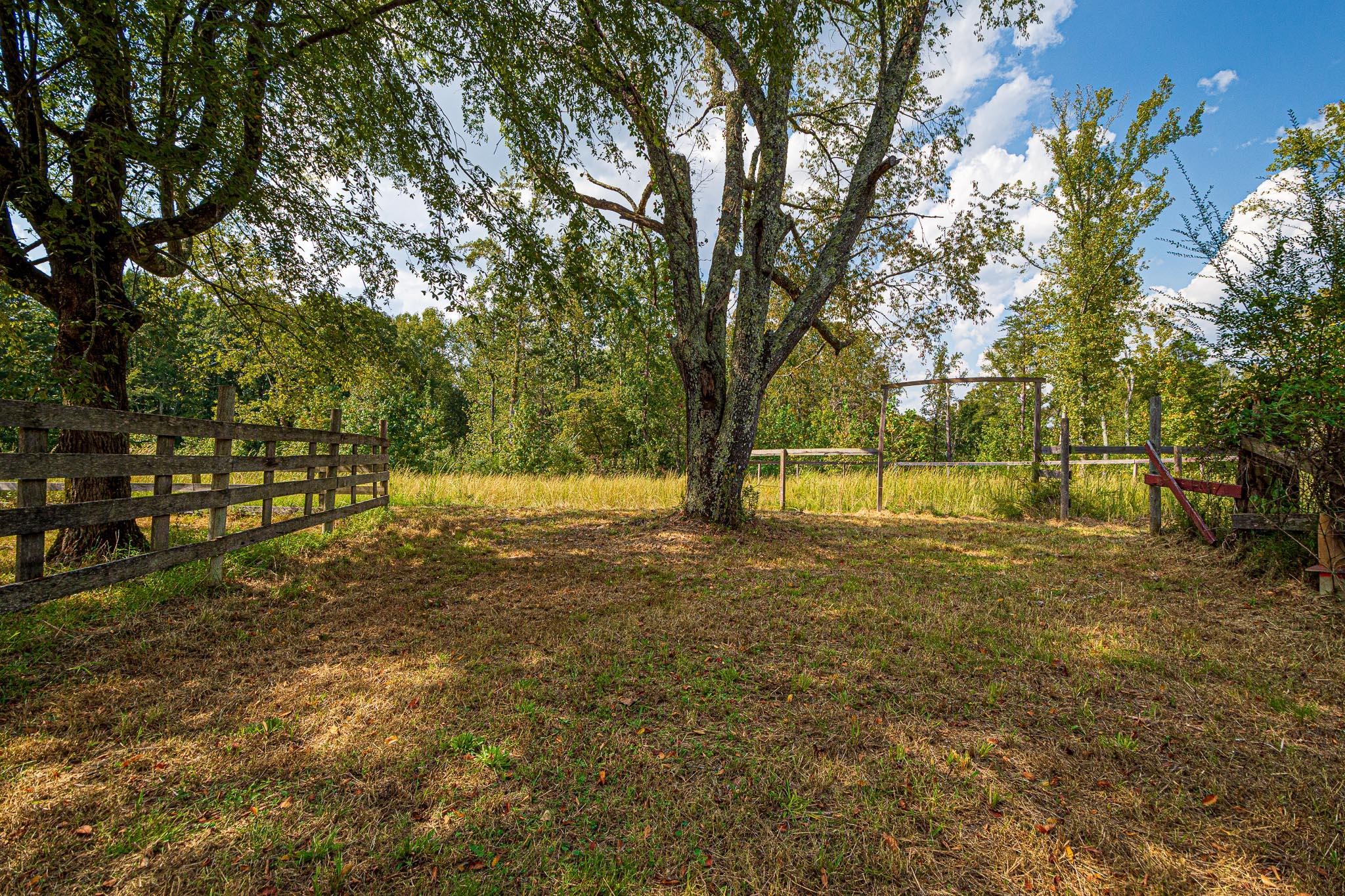 480 Pollock Hollow Road Minor Hill, TN 38473 - Photo 27 of 30