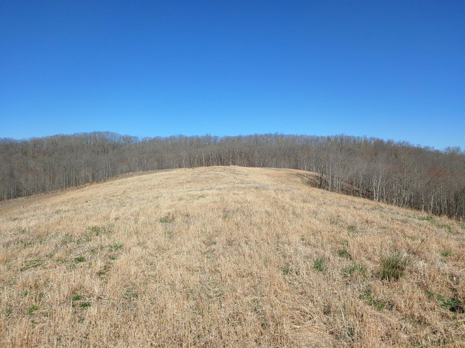 999 Pine Hill Brock Road London, KY 40741 - Photo 18 of 25 Photo 18