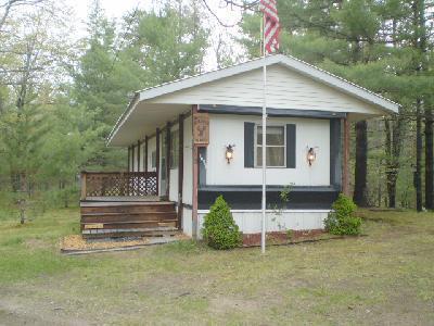 11862 West Pomeroy Springs Road Irons, MI 49644 - Photo 5 of 5 Additional Photo