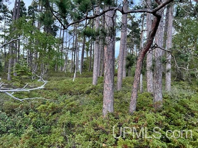Tbd Woodland Road Copper Harbor, MI 49918 - Photo 13 of 17 Gallery Image 13