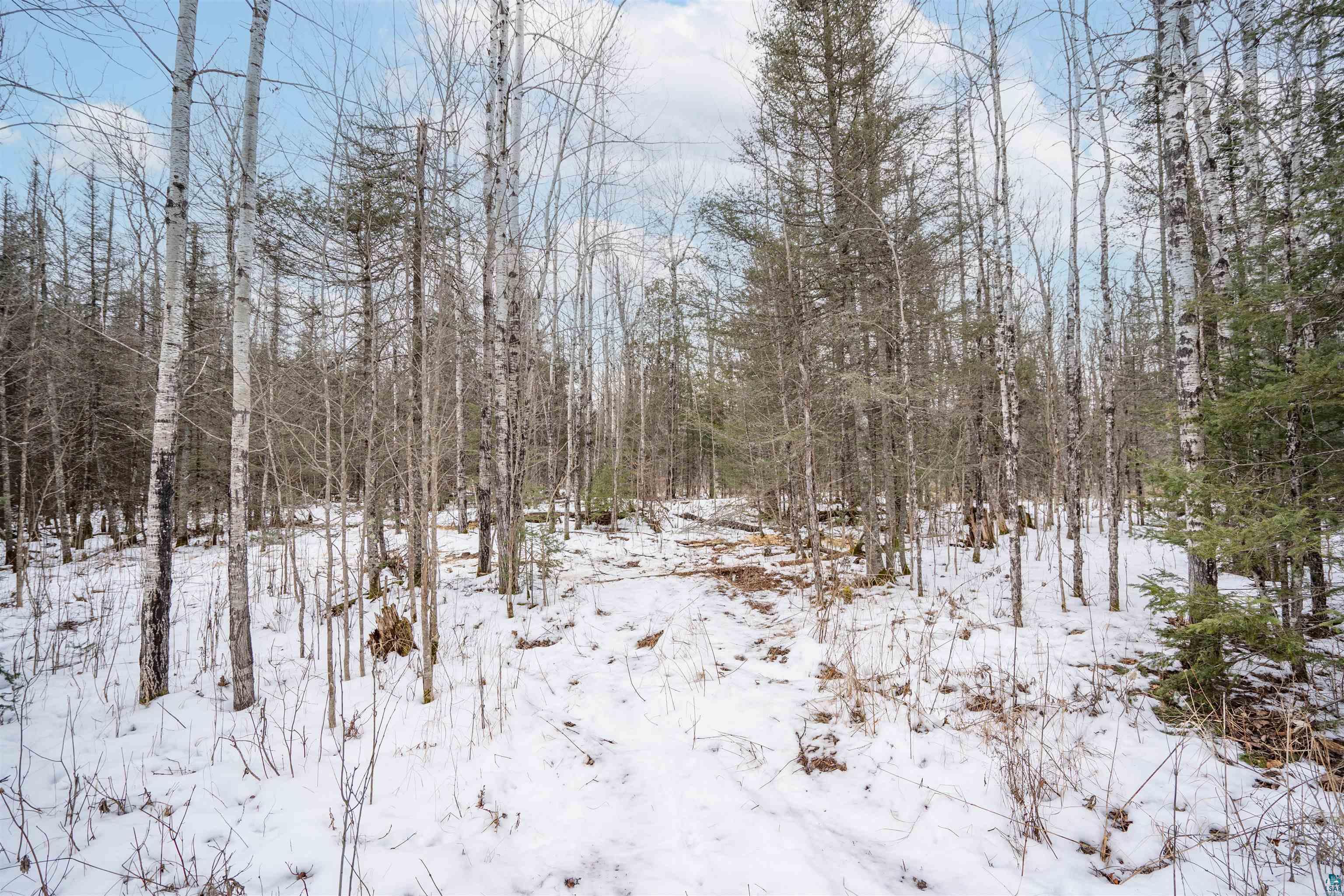 5945 Jean Duluth Road Duluth, MN 55803 - Photo 21 of 23 Gallery Image 21