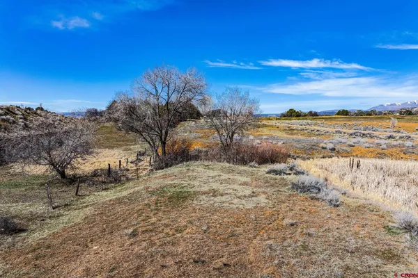 a view of a yard with swimming pool
