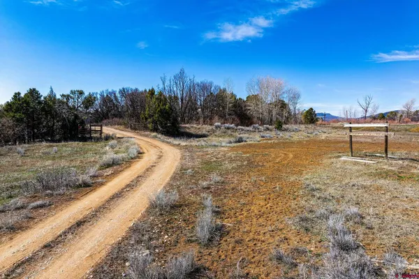 a view of outdoor space with trees