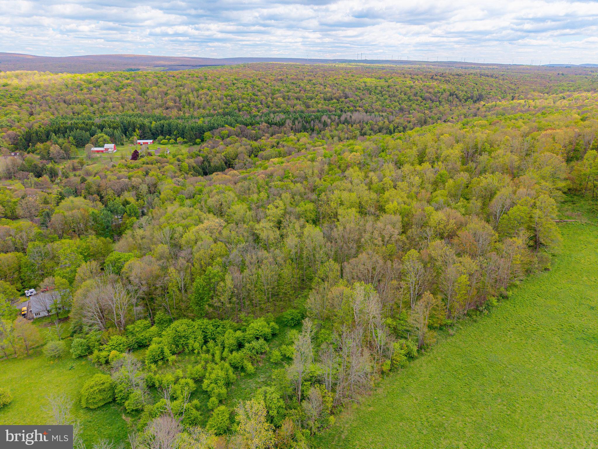216 Rock Cut Road Central City, PA 15926 - Photo 18 of 23