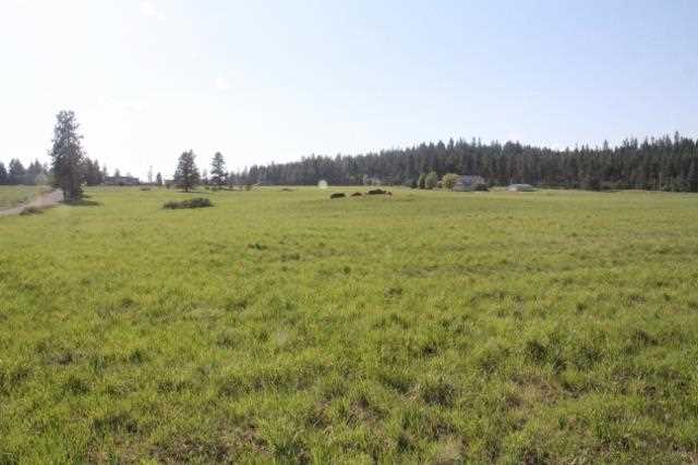 39-xxx North Spotted Road Clayton, WA 99110 - Photo 5 of 18 Gallery Image 5