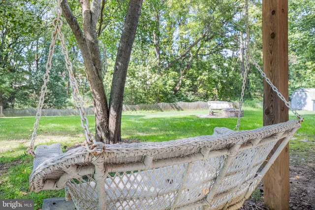 a view of a park with a large tree and a yard