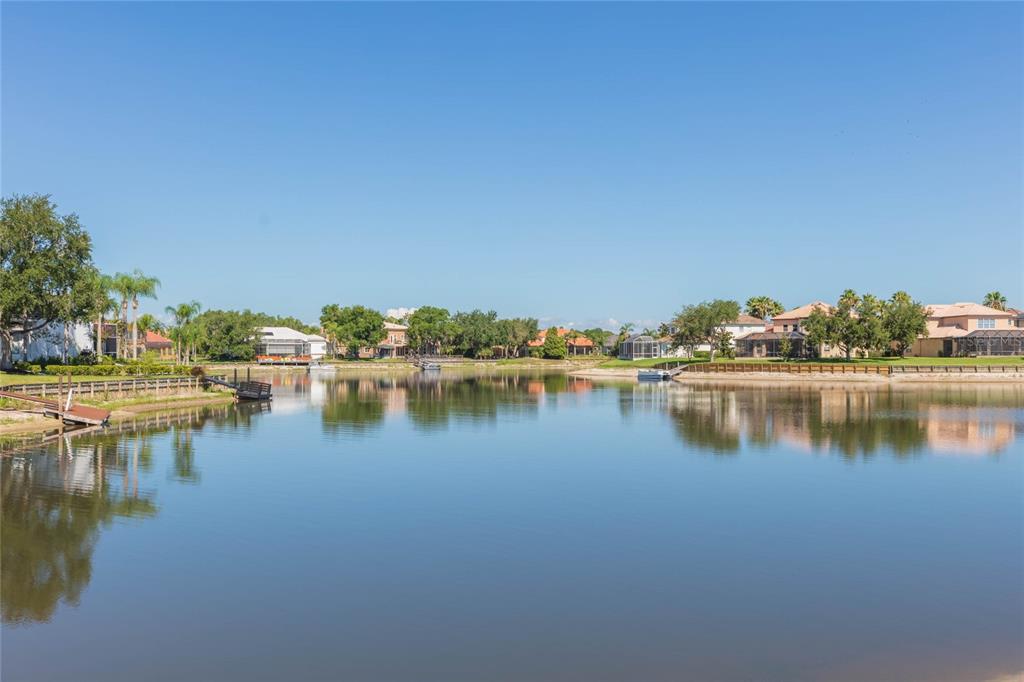 18018 Java Isle Drive Tampa, FL 33647 - Photo 4 of 14
