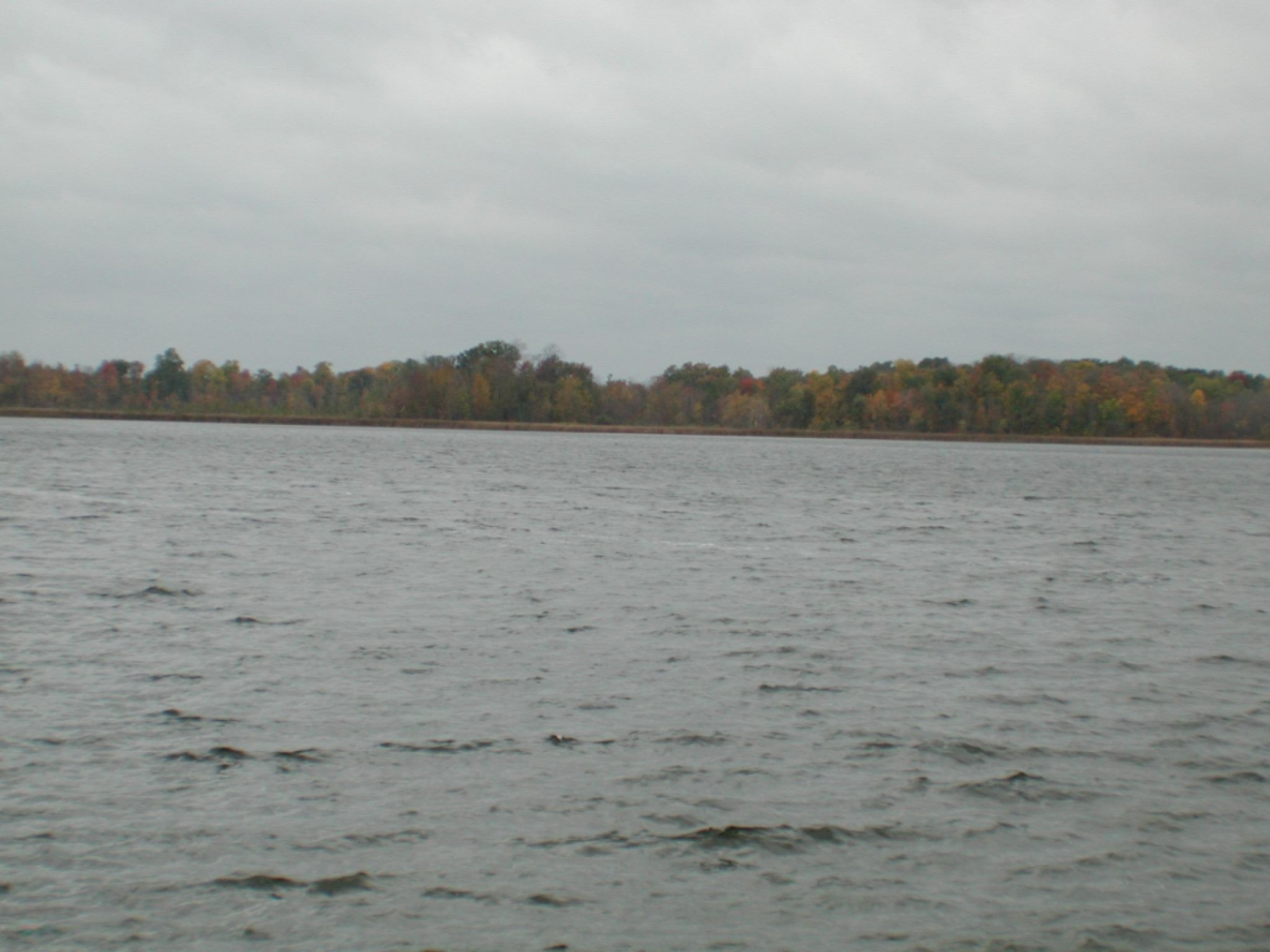 51486 Red Run Road Marcellus, MI 49067 - Photo 17 of 17 DSCN7265