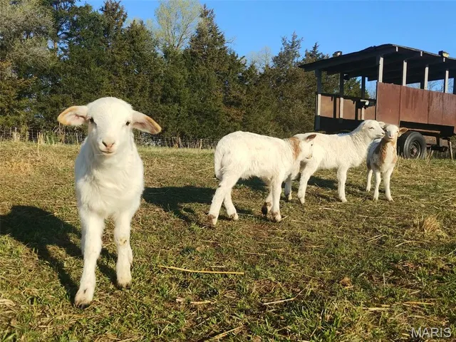 $560,000 | 4023 Juedeman Road, Cuba, MO 65453