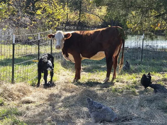 $560,000 | 4023 Juedeman Road, Cuba, MO 65453