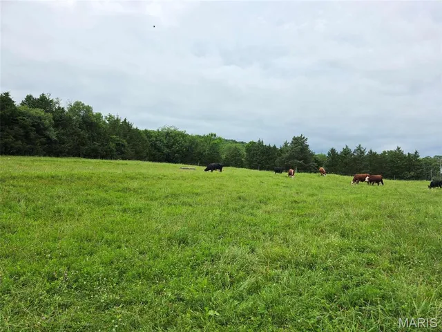 $560,000 | 4023 Juedeman Road, Cuba, MO 65453