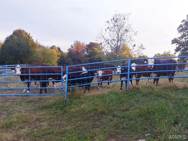 $560,000 | 4023 Juedeman Road, Cuba, MO 65453