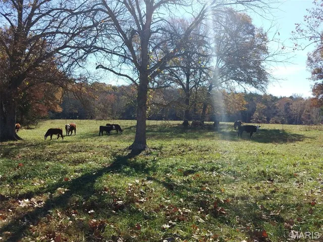 $560,000 | 4023 Juedeman Road, Cuba, MO 65453