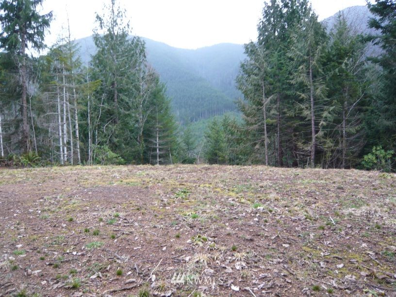 0 Sickel Loop Brinnon, WA 98320 - Photo 1 of 2 Gallery Image 1
