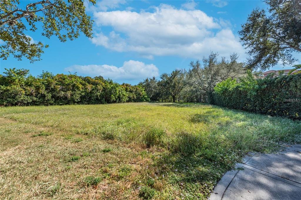 5913 La Rosa Lane Apollo Beach, FL 33572 - Photo 5 of 10 a view of a field with an trees in the background