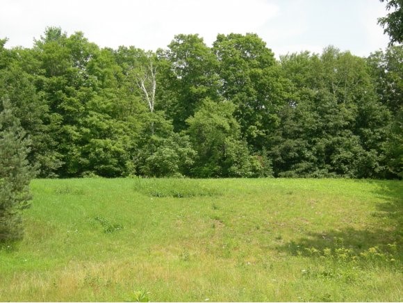 Lot #1 Bowers Road Hartland, VT 05048 - Photo 1 of 1