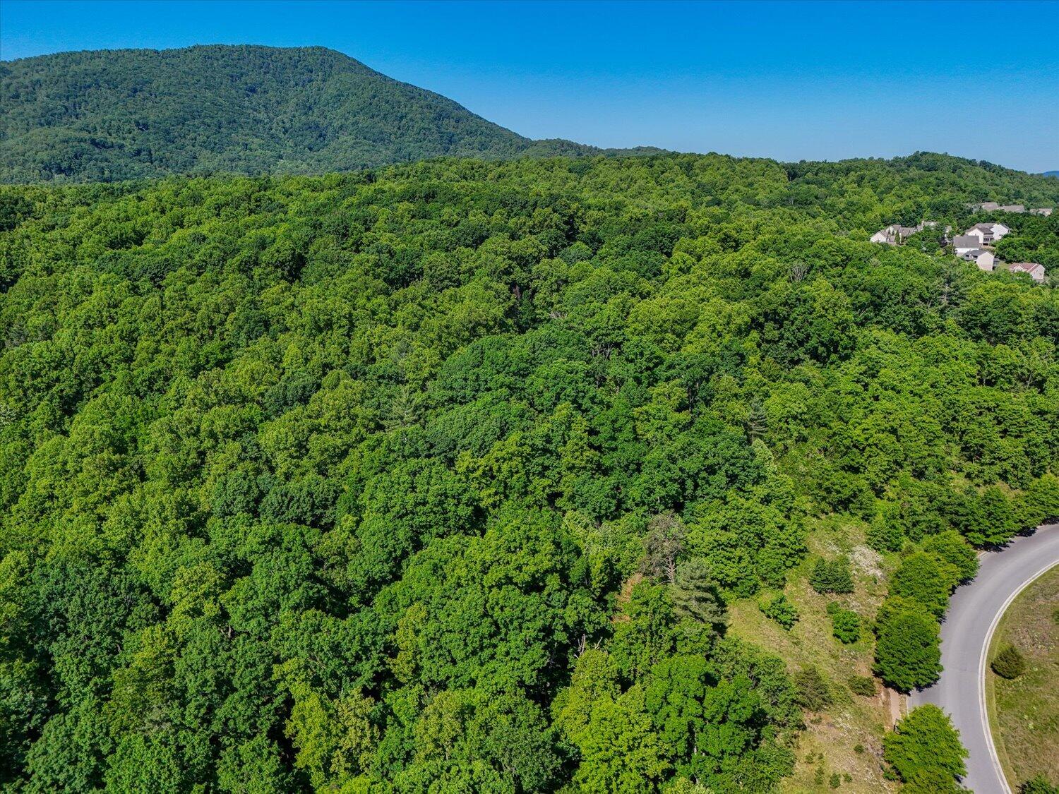 0 Merriman Road Roanoke, VA 24018 - Photo 5 of 10 5-5-13