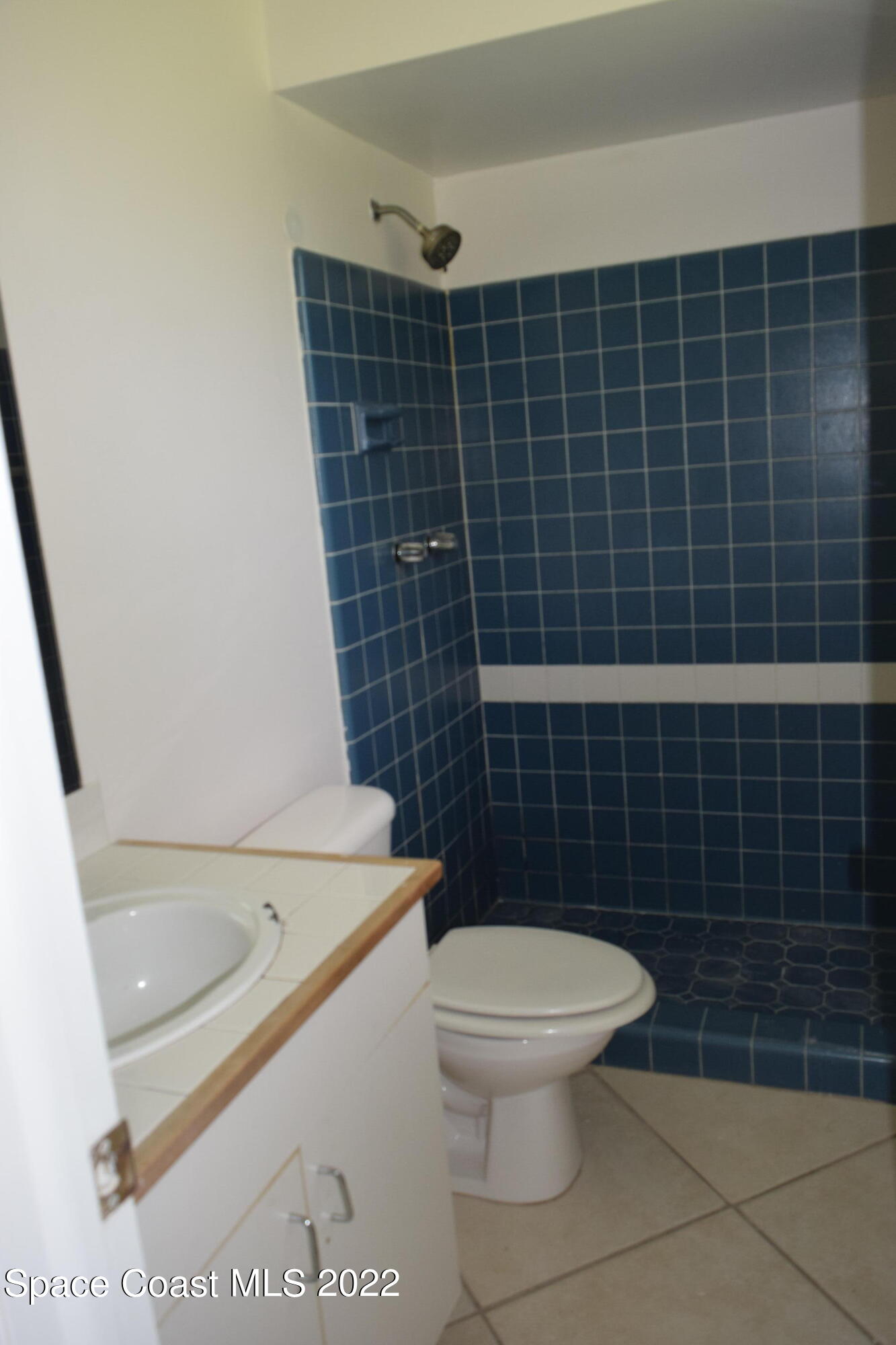 771 Cobblestone Lane Northeast Palm Bay, FL 32905 - Photo 26 of 30 a bathroom with a toilet a sink and a mirror