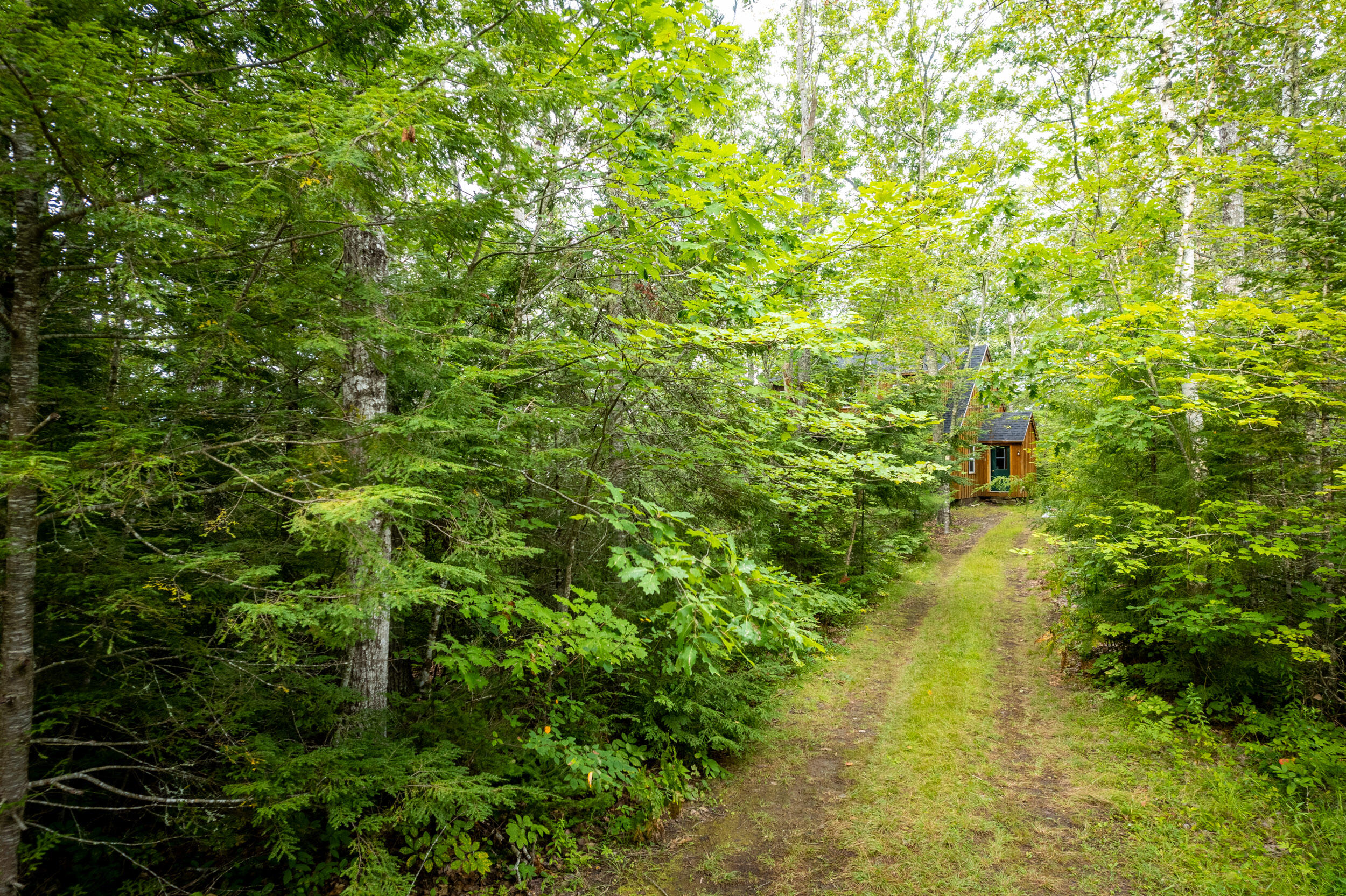 114 Camp Road Belmont, ME 04952 - Photo 45 of 48 Tucked away