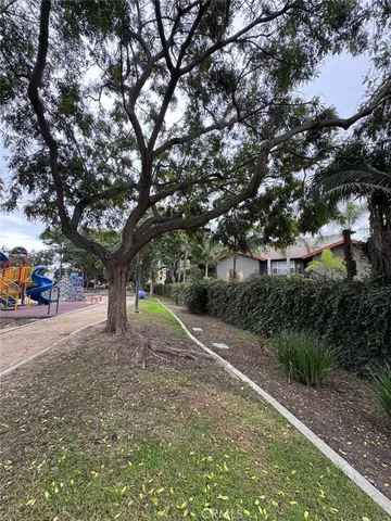 a tree in the middle of a yard