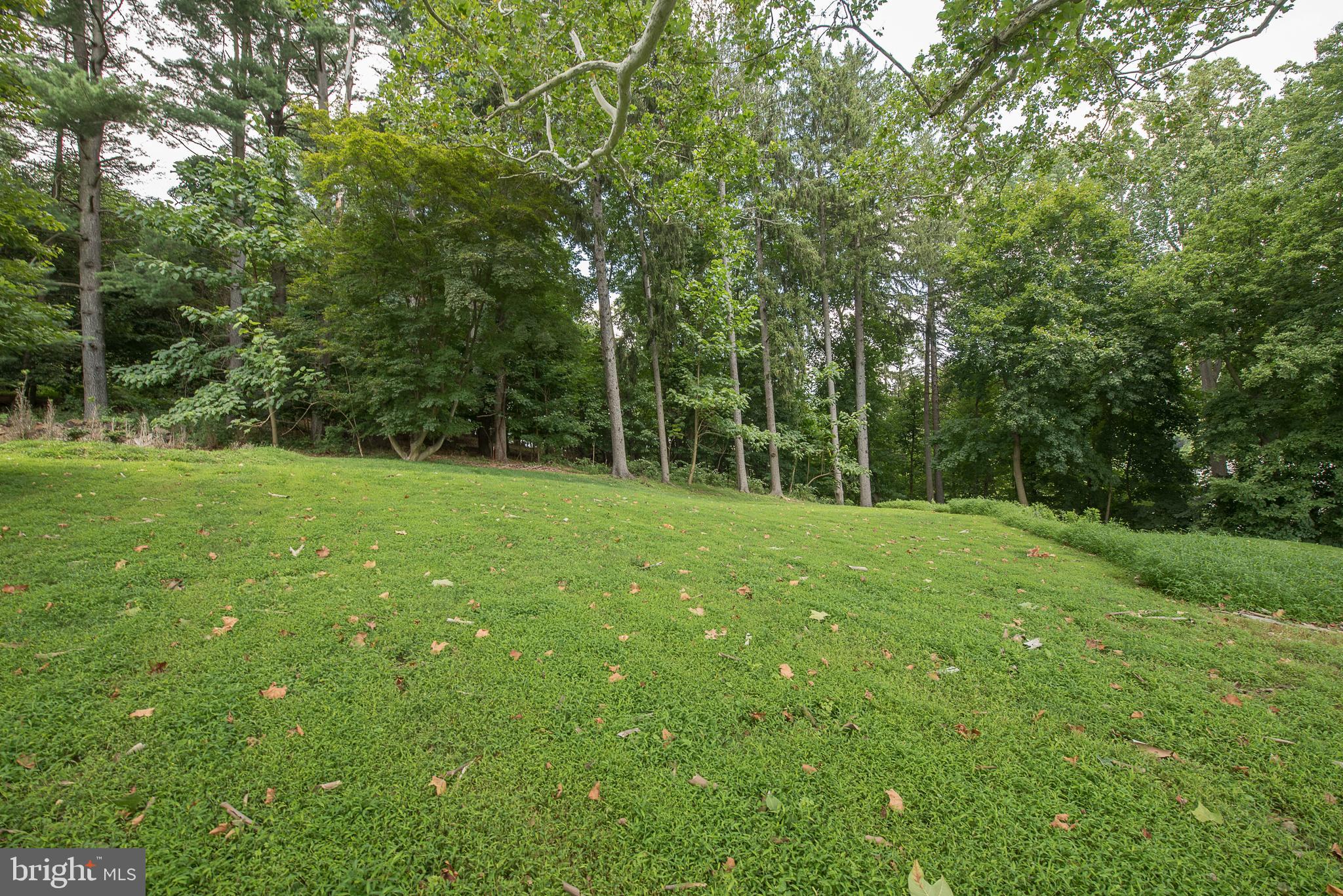 603 Beatty Road Media, PA 19063 - Photo 69 of 84 a view of green field with trees in the background