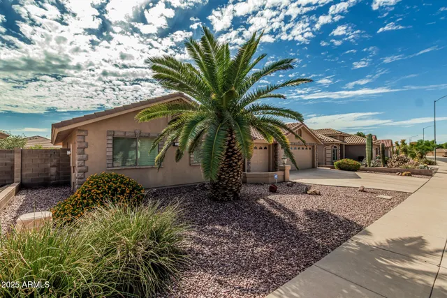 a view of a dry yard with potted plants