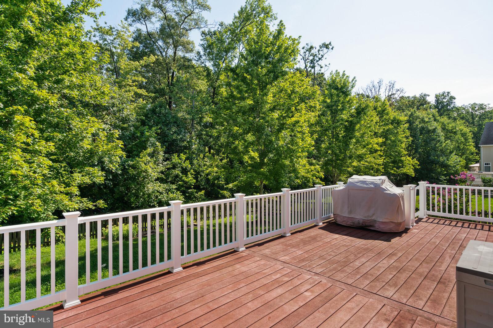 14036 Albert Way Gainesville, VA 20155 - Photo 36 of 40 Large deck, gas grill