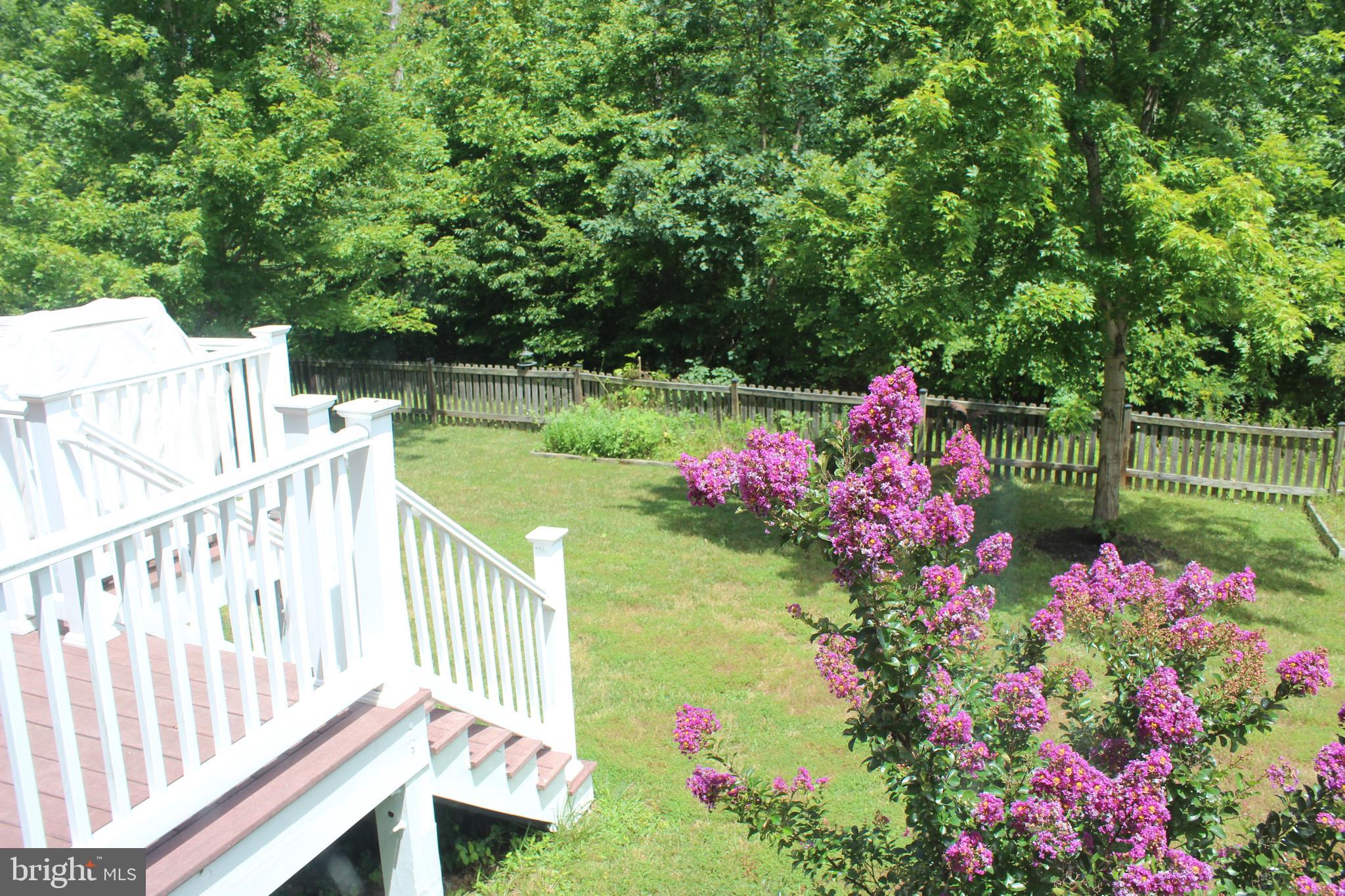 14036 Albert Way Gainesville, VA 20155 - Photo 38 of 40 Private yard backs to woods