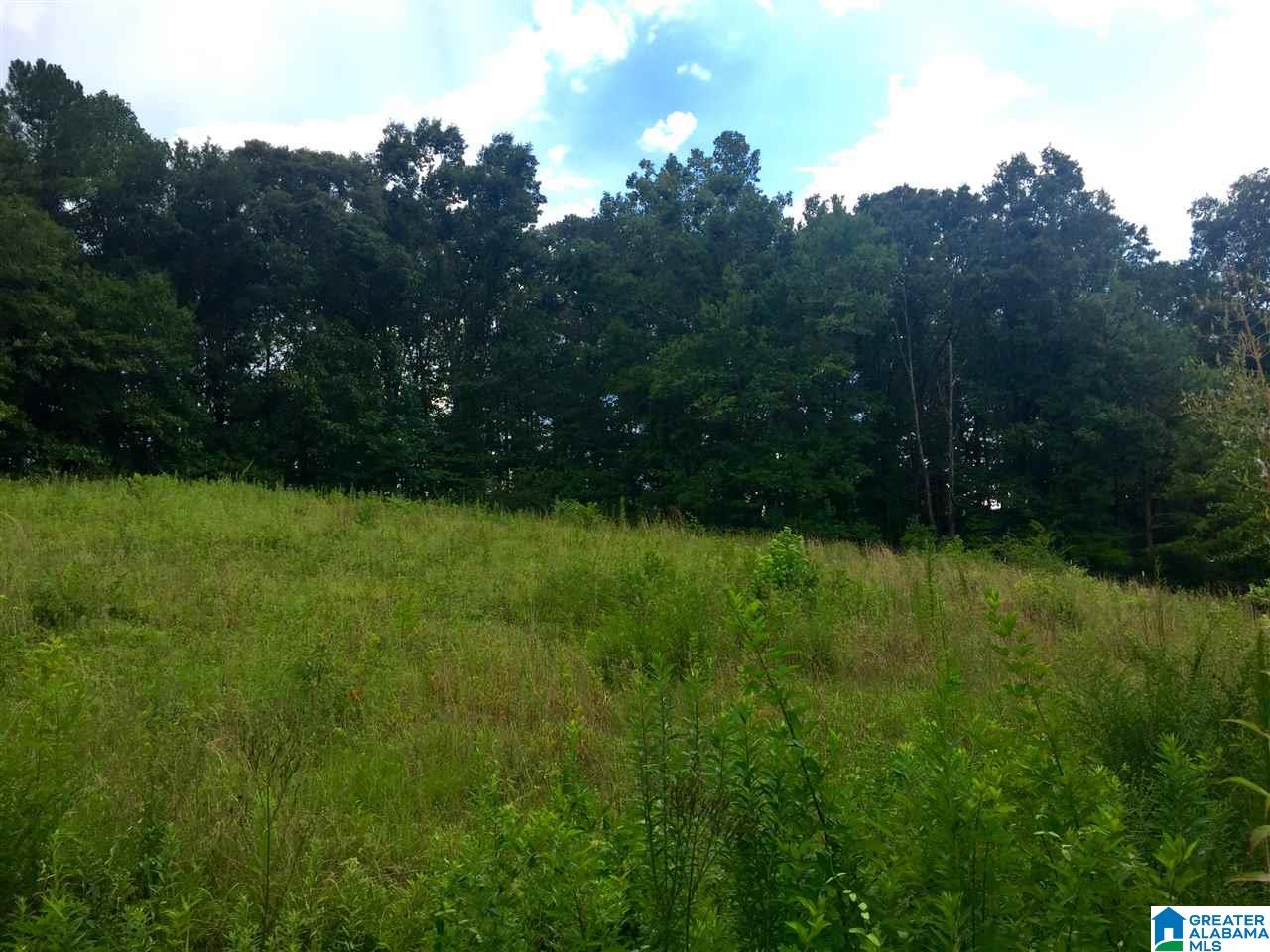 29 County Road, Unit 10 91 Wedowee, AL 36278 - Photo 3 of 3