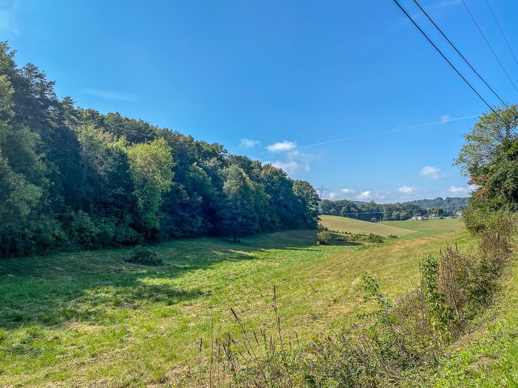 137 Old James Ferry Road Kingston, TN 37763 - Photo 54 of 60