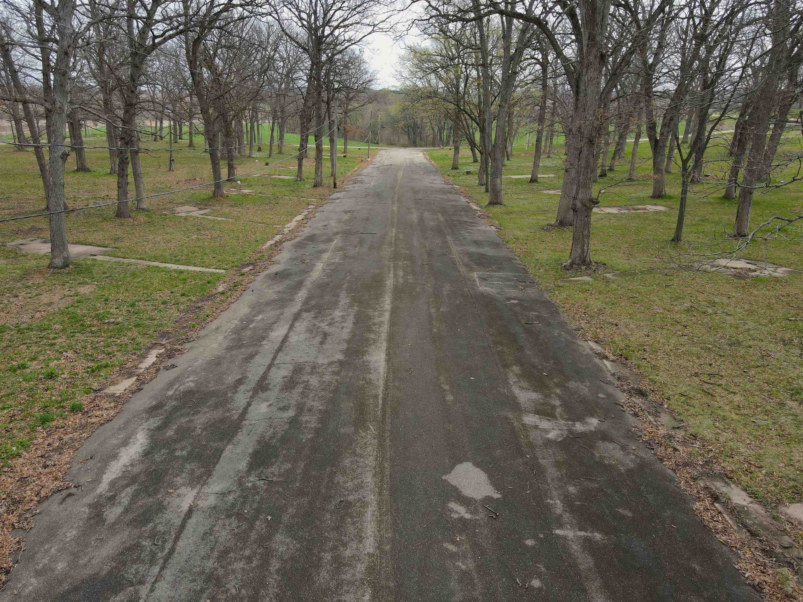 4500 East River Road Ridott, IL 61067 - Photo 35 of 54 a view of a park with tree s