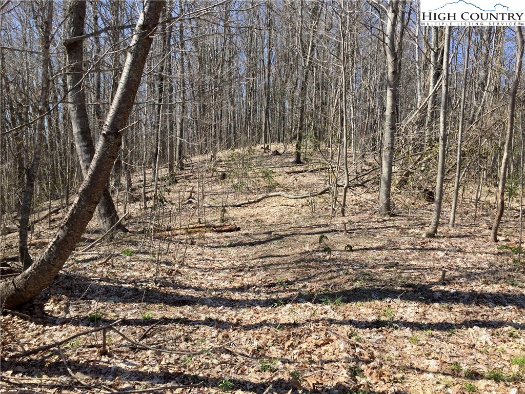 Lot 3 Tucker Road Lansing, NC 28643 - Photo 8 of 44