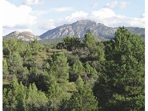 0 Meadowlark Road Prescott, AZ 86305 - Photo 1 of 1 Primary Photo