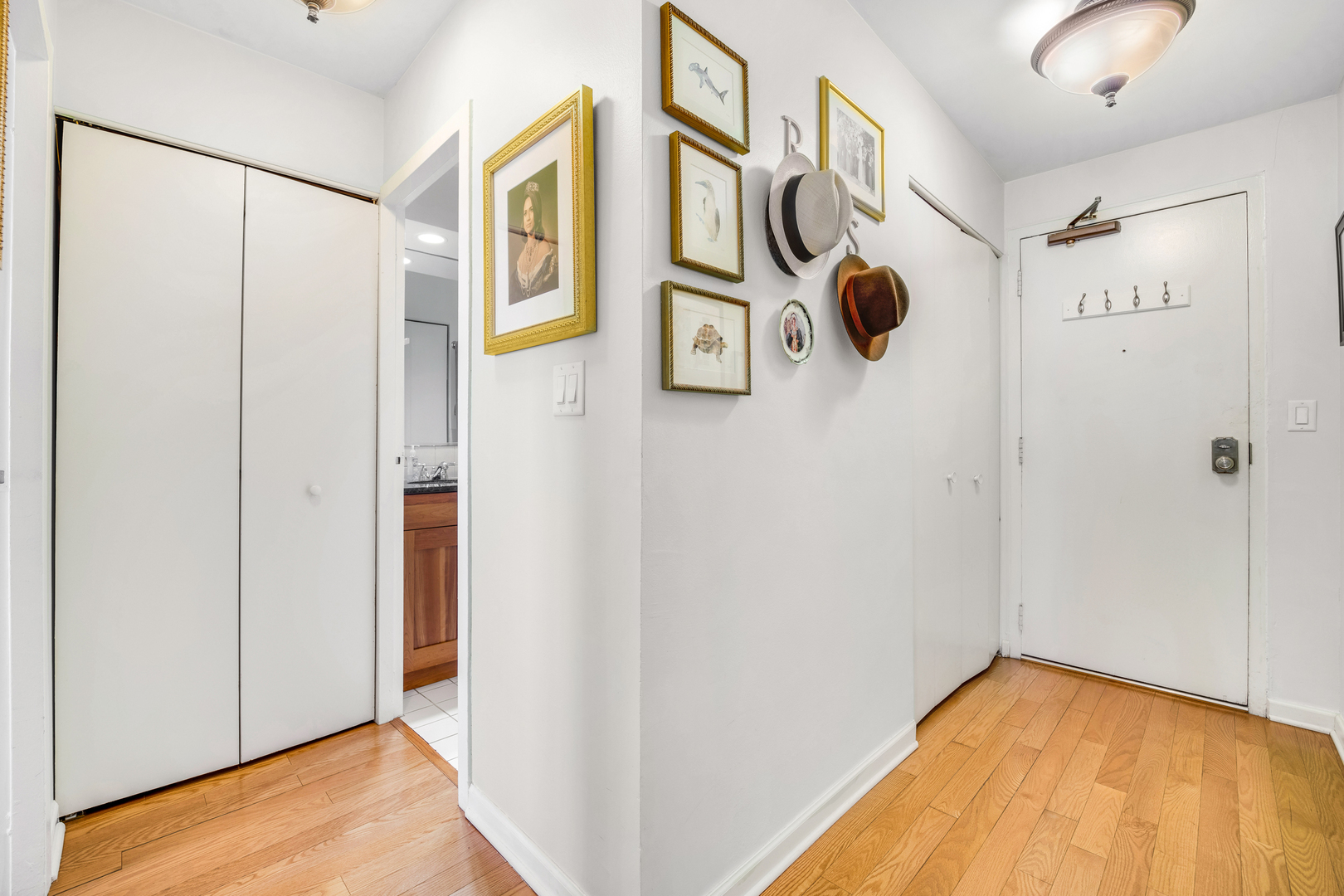 3033 North Sheridan Road, Unit 1010 Chicago, IL 60657 - Photo 4 of 17