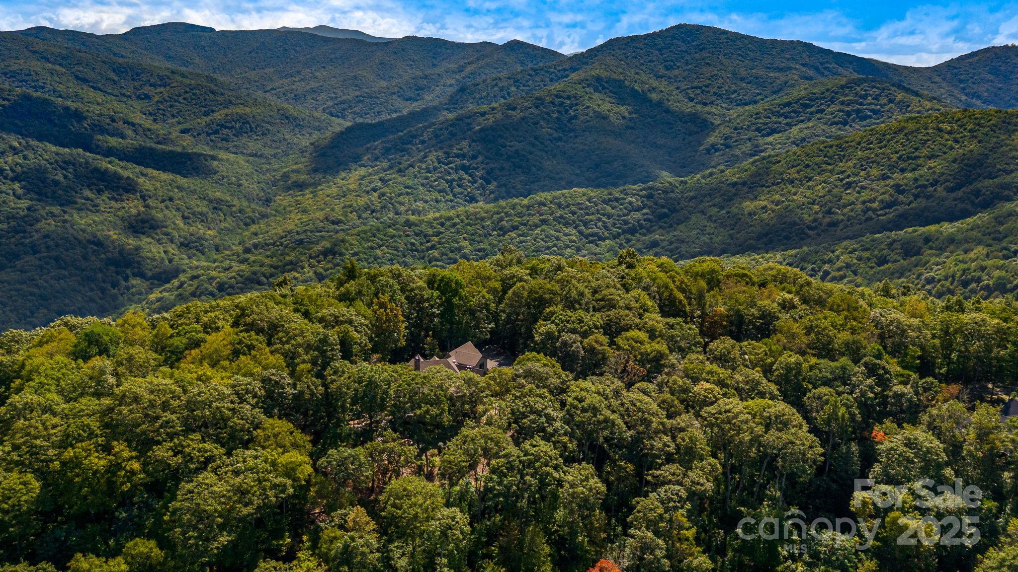85 Back Bone Way, Unit 200 Sylva, NC 28779 - Photo 48 of 48 a view of a forest with a street