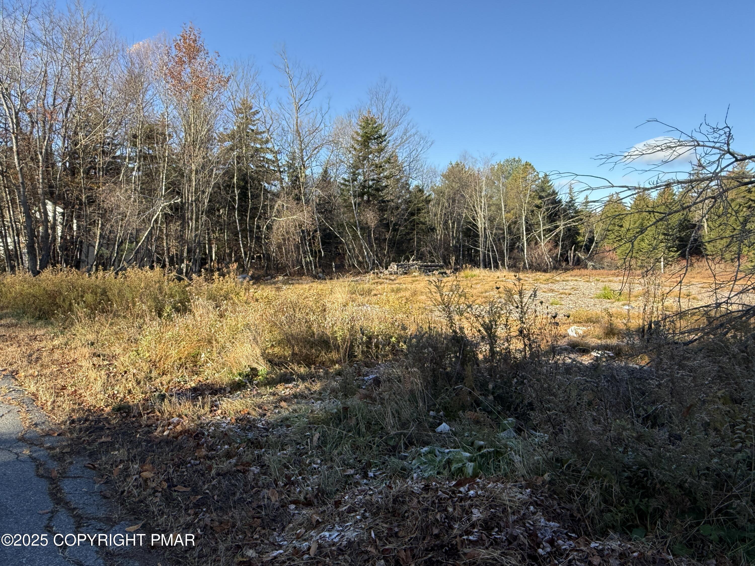 12 Laurel View Lane Tobyhanna, PA 18466 - Photo 5 of 9 a view of a snow covered with snow
