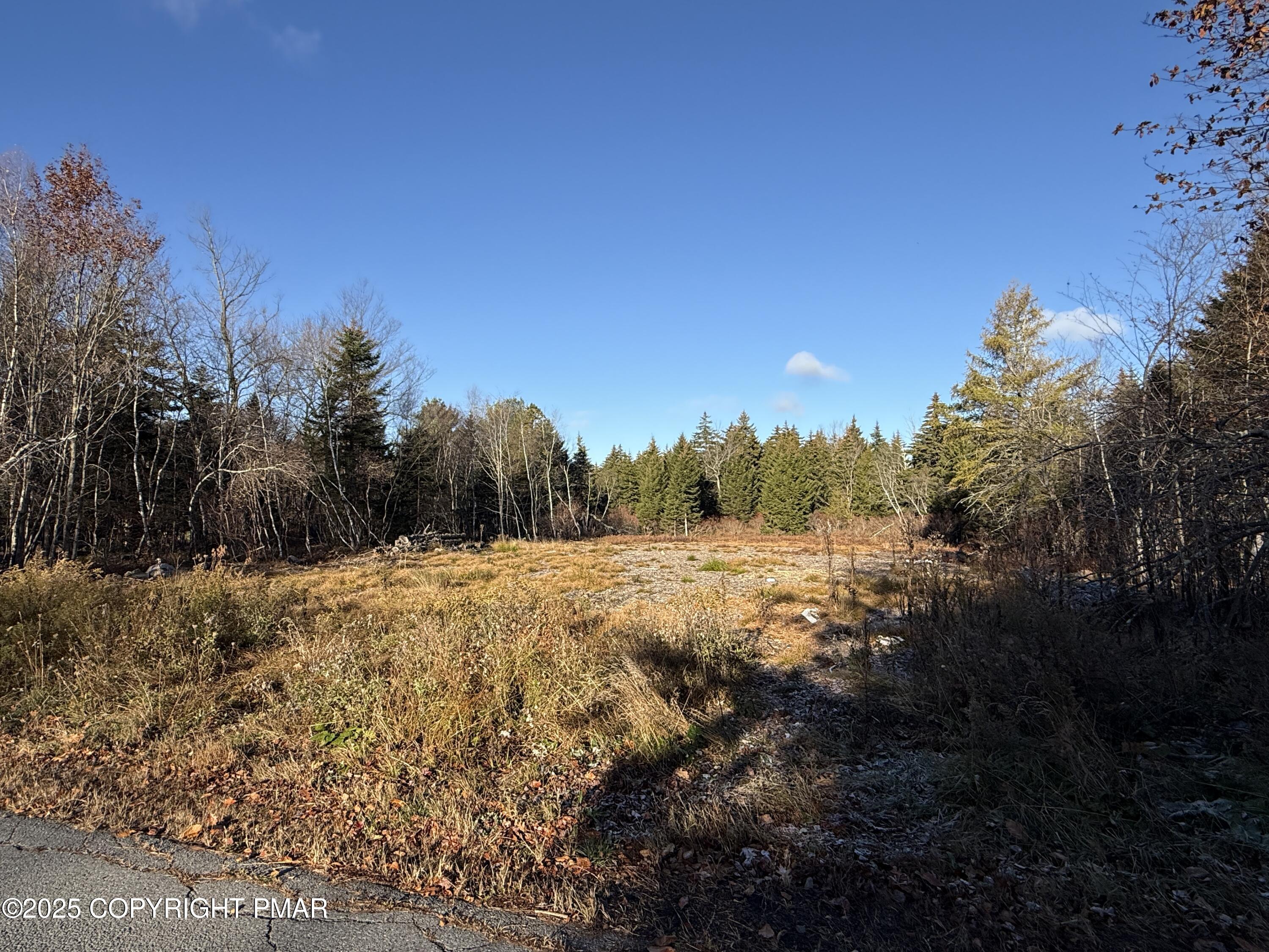 12 Laurel View Lane Tobyhanna, PA 18466 - Photo 6 of 9 a view of a yard