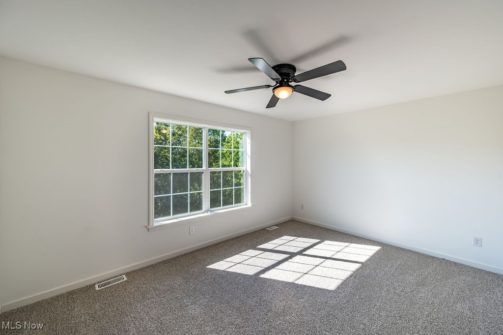 7343 Lost Pavement Road Belleville, WV 26133 - Photo 21 of 49 Empty room featuring carpet flooring and a ceiling fan