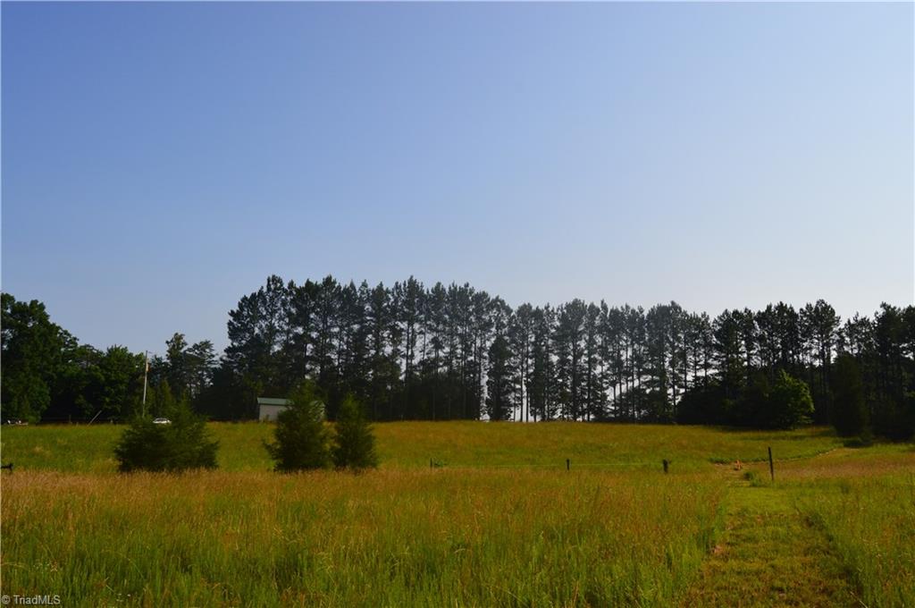 0 Ralph E Road Reidsville, NC 27320 - Photo 11 of 24