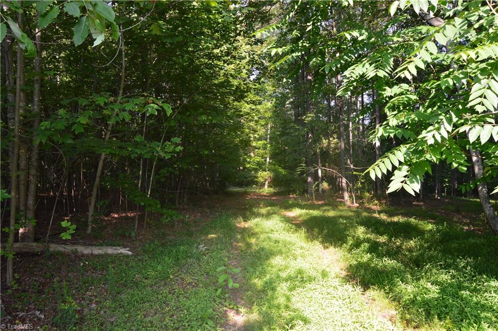 0 Ralph E Road Reidsville, NC 27320 - Photo 12 of 24