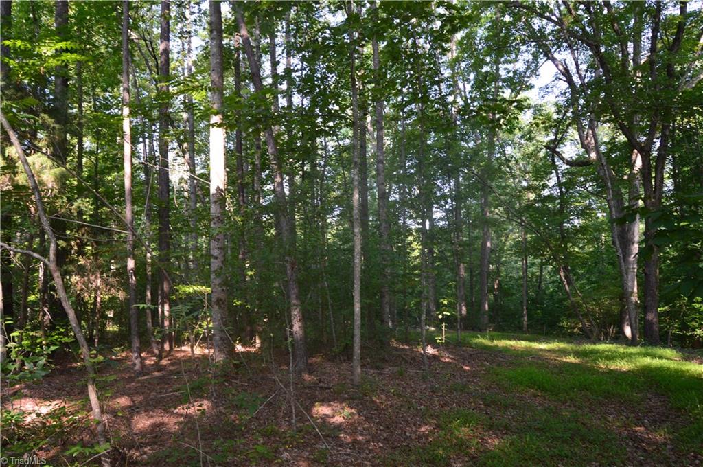 0 Ralph E Road Reidsville, NC 27320 - Photo 13 of 24