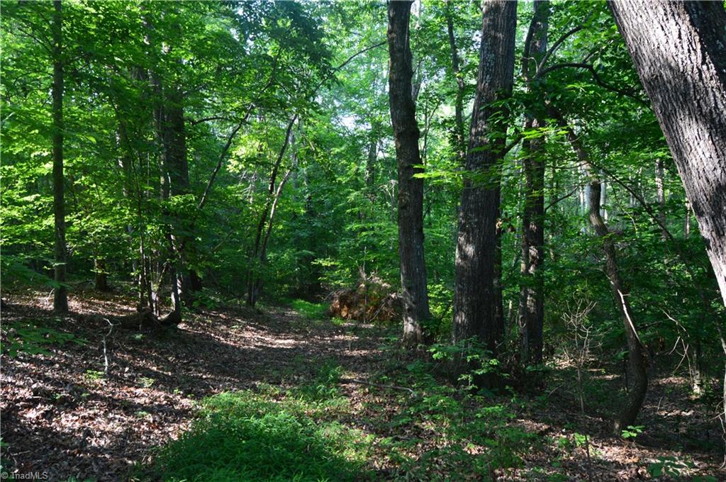 0 Ralph E Road Reidsville, NC 27320 - Photo 14 of 24
