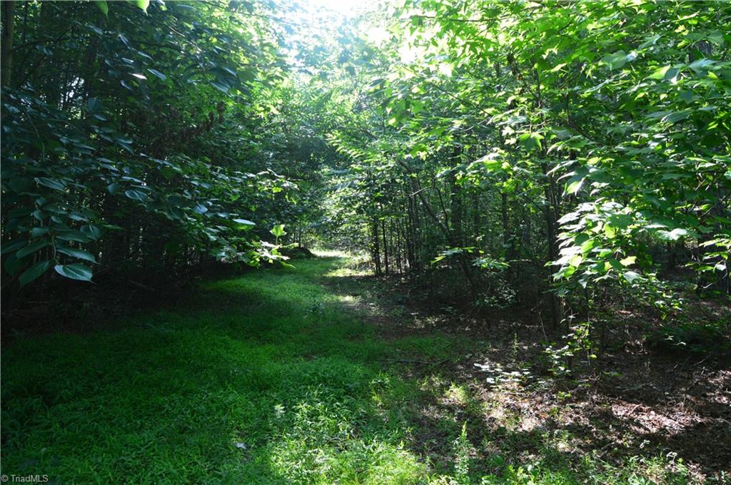 0 Ralph E Road Reidsville, NC 27320 - Photo 17 of 24