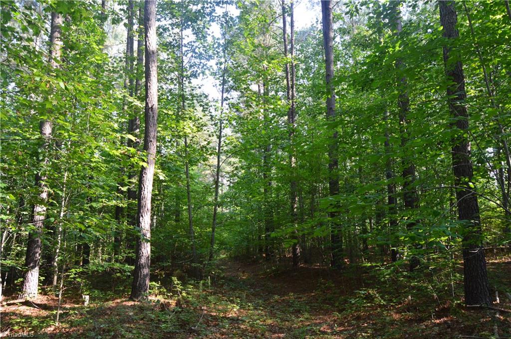 0 Ralph E Road Reidsville, NC 27320 - Photo 19 of 24