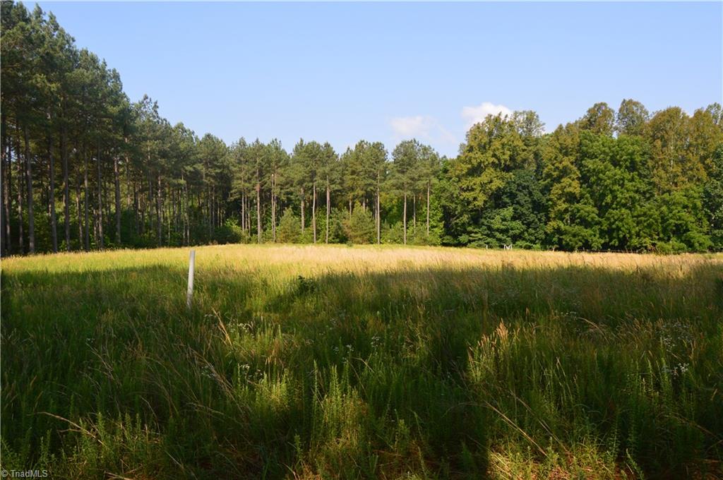 0 Ralph E Road Reidsville, NC 27320 - Photo 20 of 24